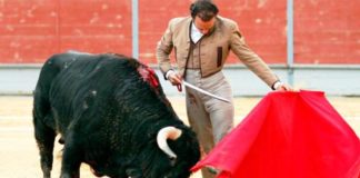 Ferrera durante el festival de Lorca. (FOTO: Guillermo Lorente/mundotoro.com)